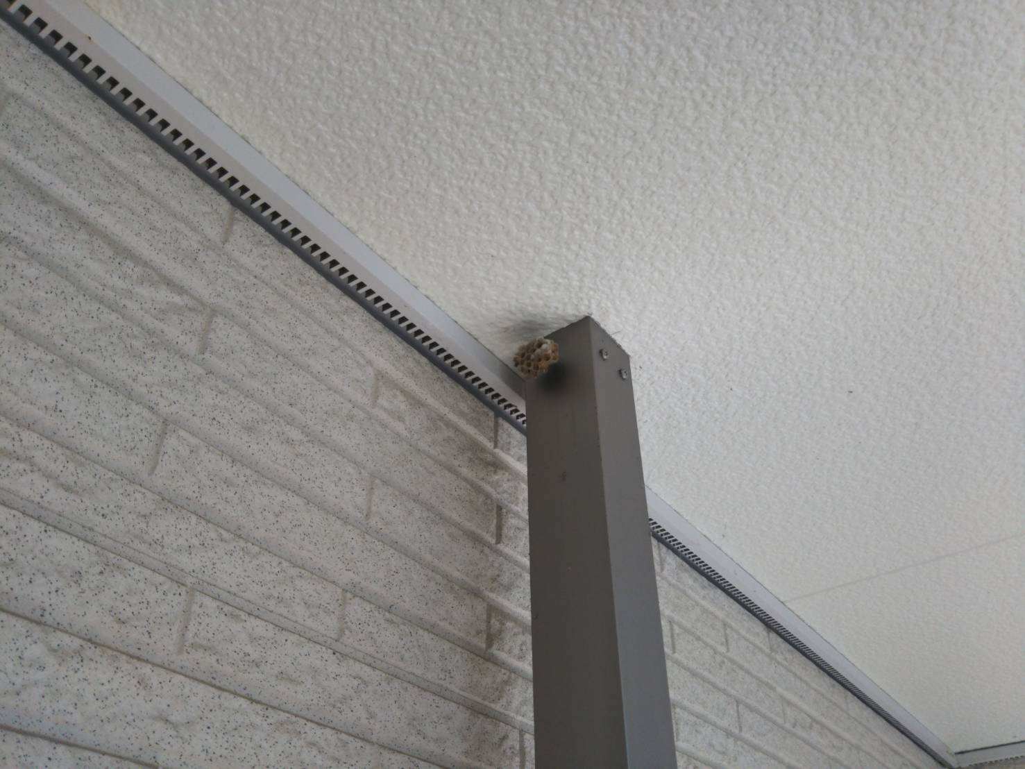 記事 賃貸管理アパートの蜂駆除/駆除作業/神戸、明石、加古川、姫路の不動産管理・サブリースのアースデザイン明石のアイキャッチ画像