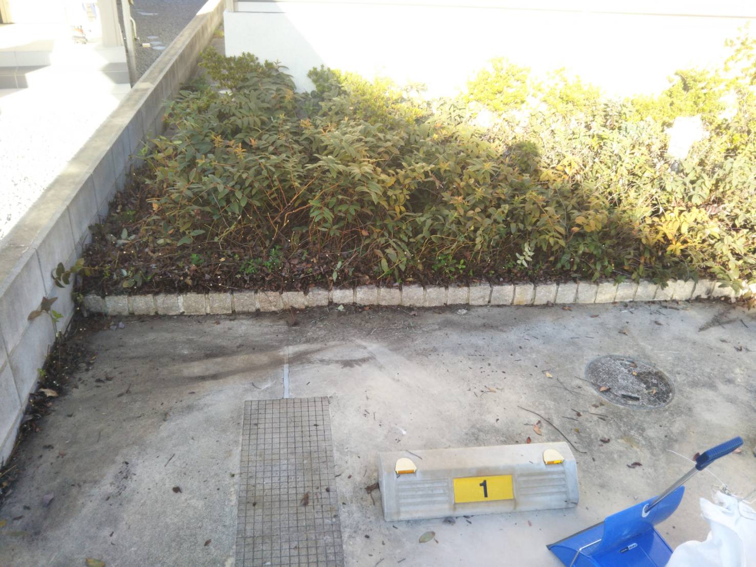 記事 賃貸管理植栽剪定｜共用部植栽剪定｜神戸、明石、加古川、姫路の不動産管理・サブリースのアースデザイン明石のアイキャッチ画像