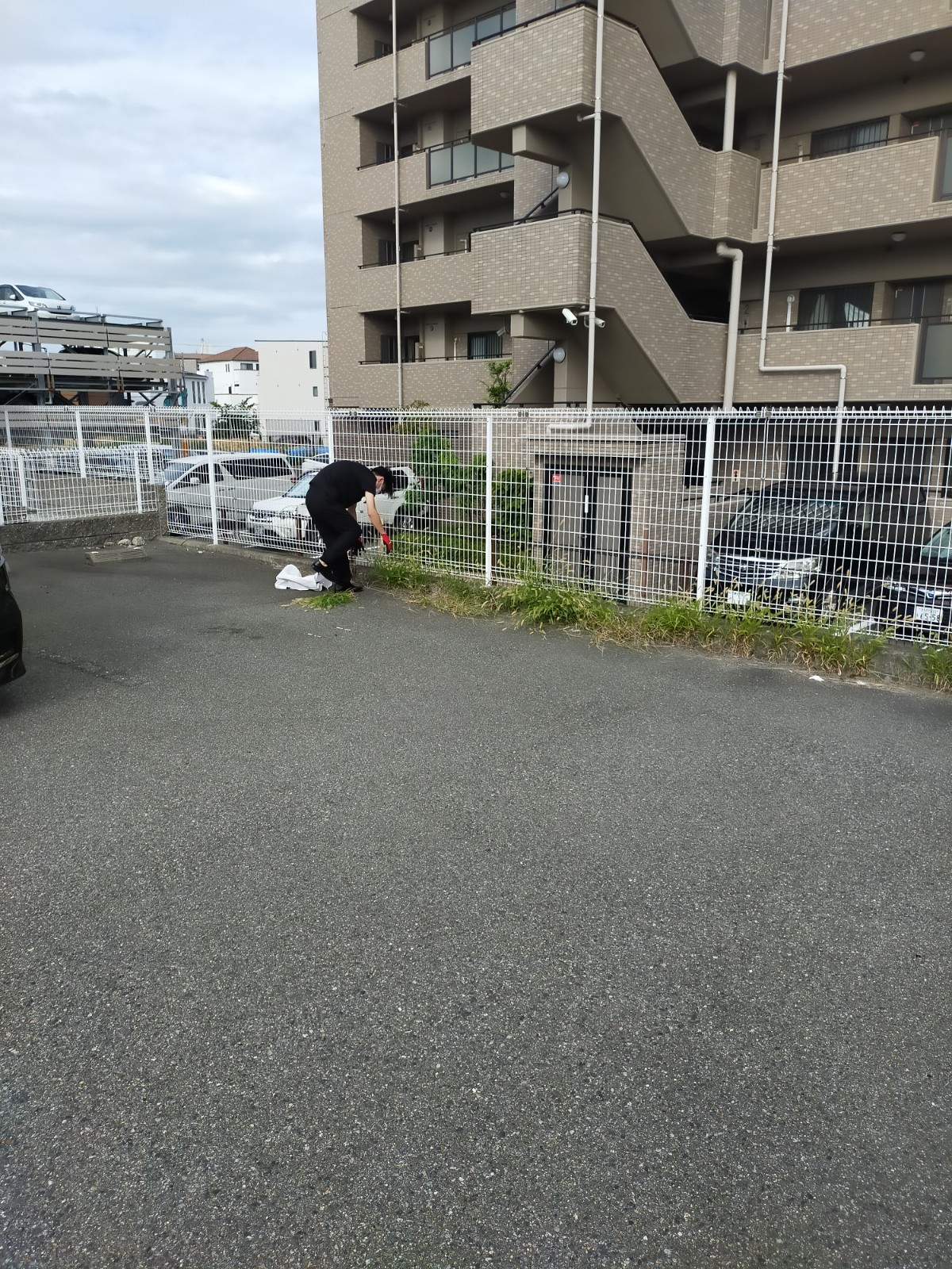 記事 【駐車場除草】雑草を抜いてメンテナンスしました。のアイキャッチ画像