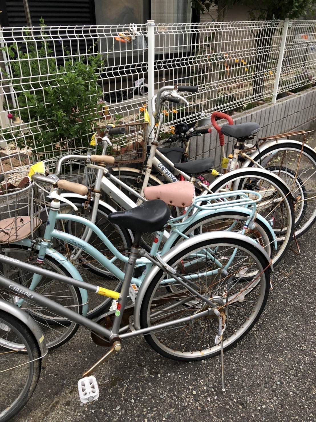 記事 自転車撤去｜賃貸ﾏﾝｼｮﾝ｜神戸、明石、加古川、姫路の不動産管理のアイキャッチ画像