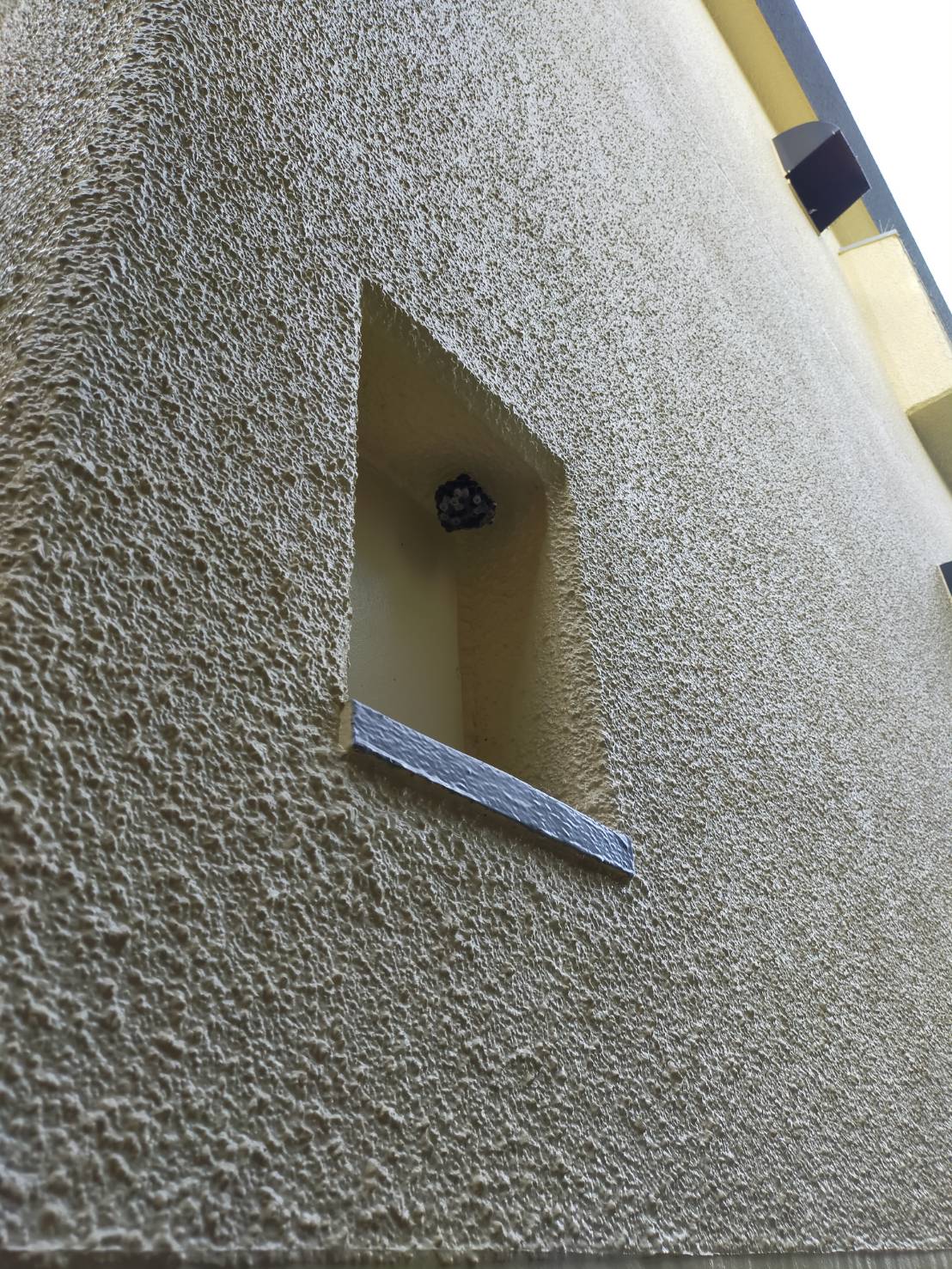 記事 蜂駆除|害虫駆除|神戸、明石、加古川、姫路の不動産管理のアイキャッチ画像